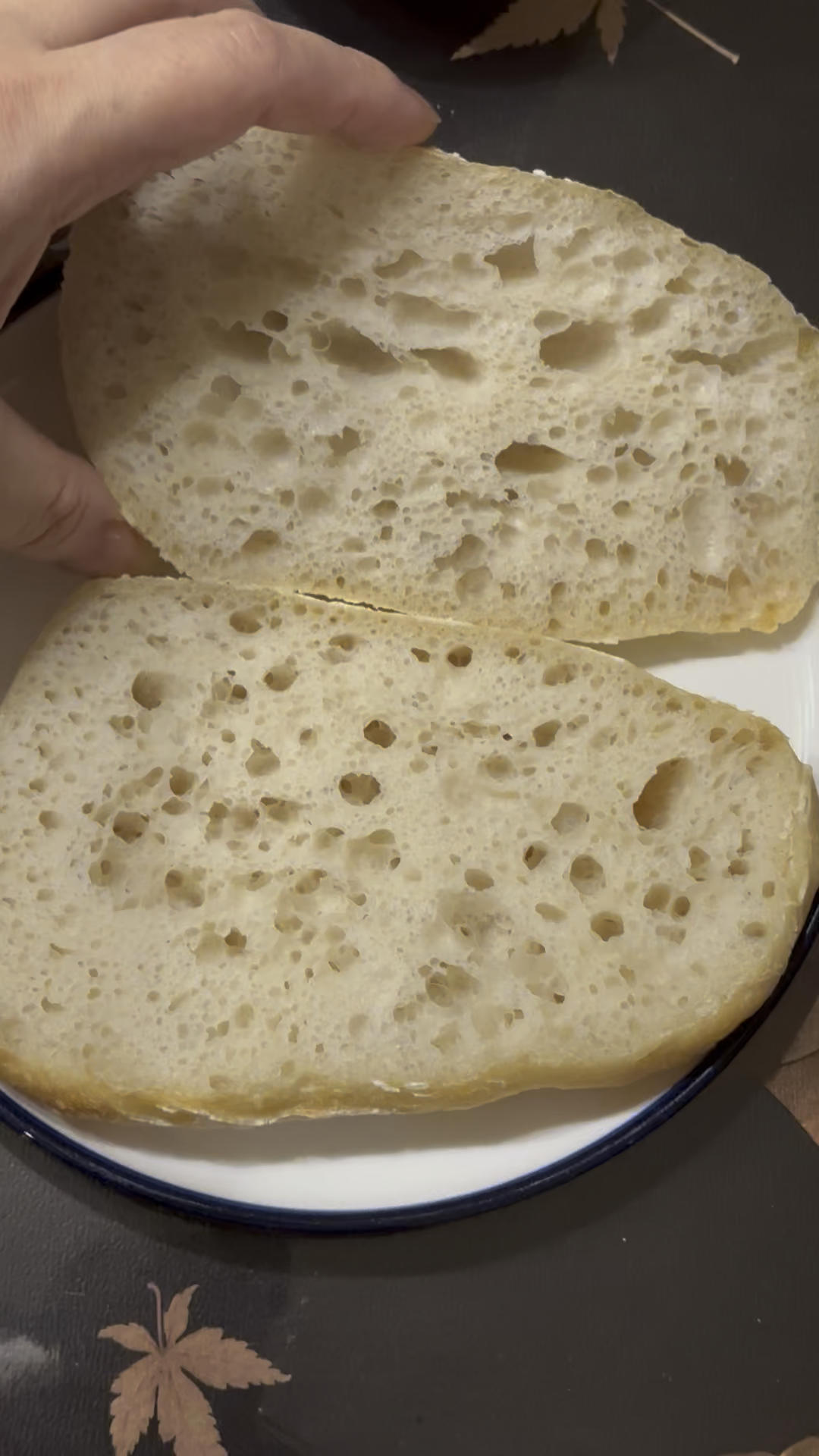 高水量恰巴塔【鲁邦种】