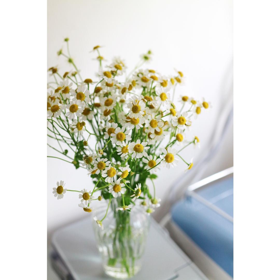 生活中的小确幸……