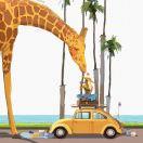 爱喝酒的黄菇凉