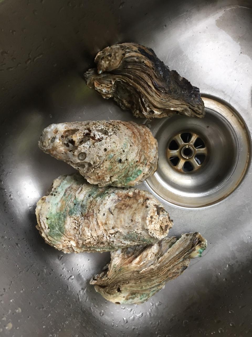 【曼食慢语】蒜蓉烤生蚝