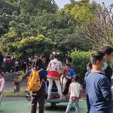 C小喵