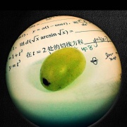 土豆布丁找组织