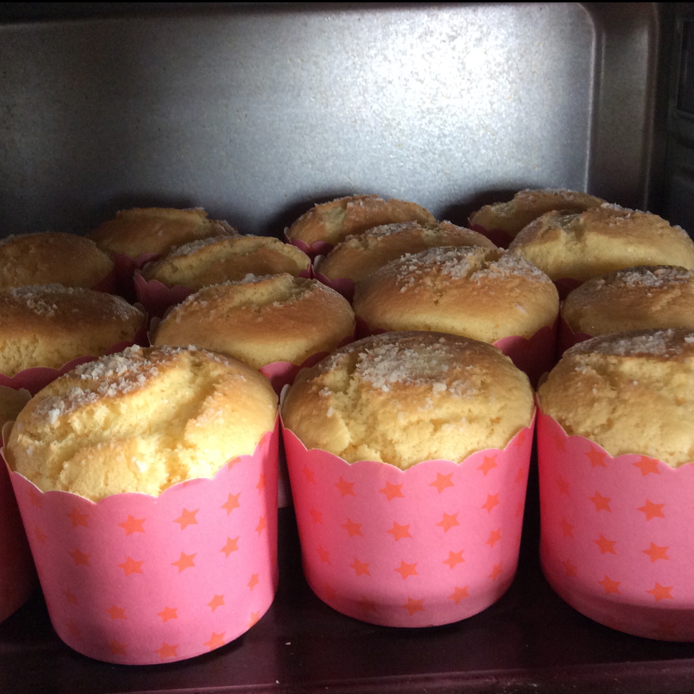 不会回缩的纸杯蛋糕--海氏烤箱定制