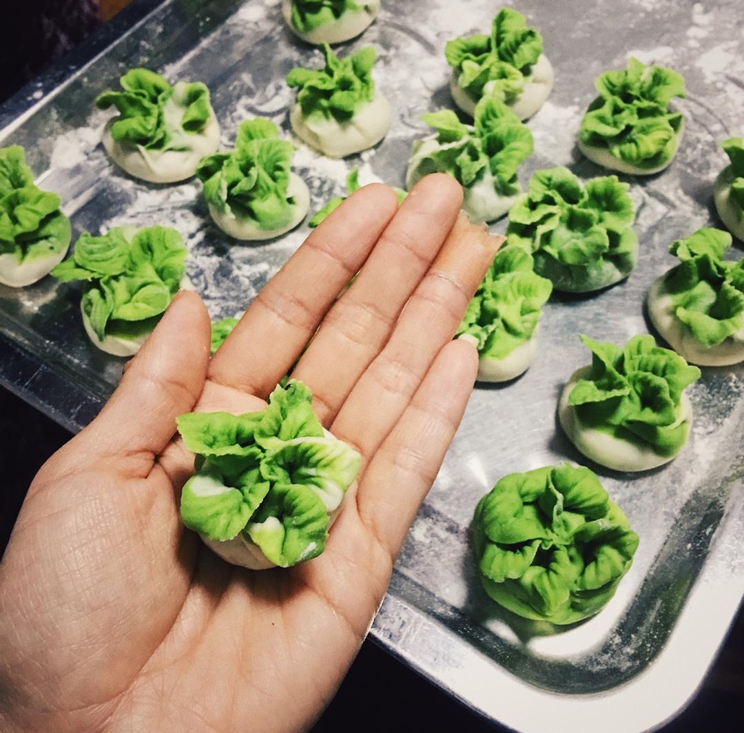 一琐做的水调面团---白菜饺子(附视频)
