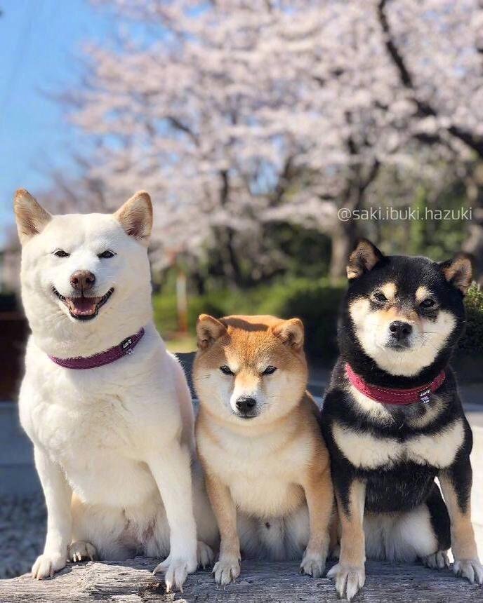 宿舍一人食