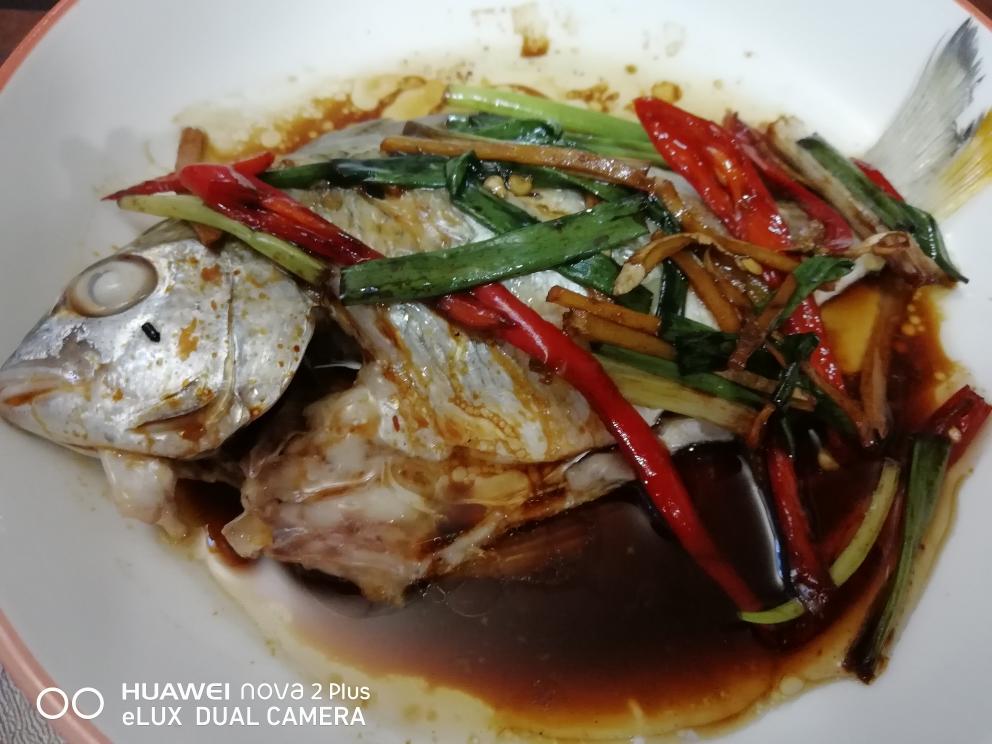 清蒸黄墙鱼的做法