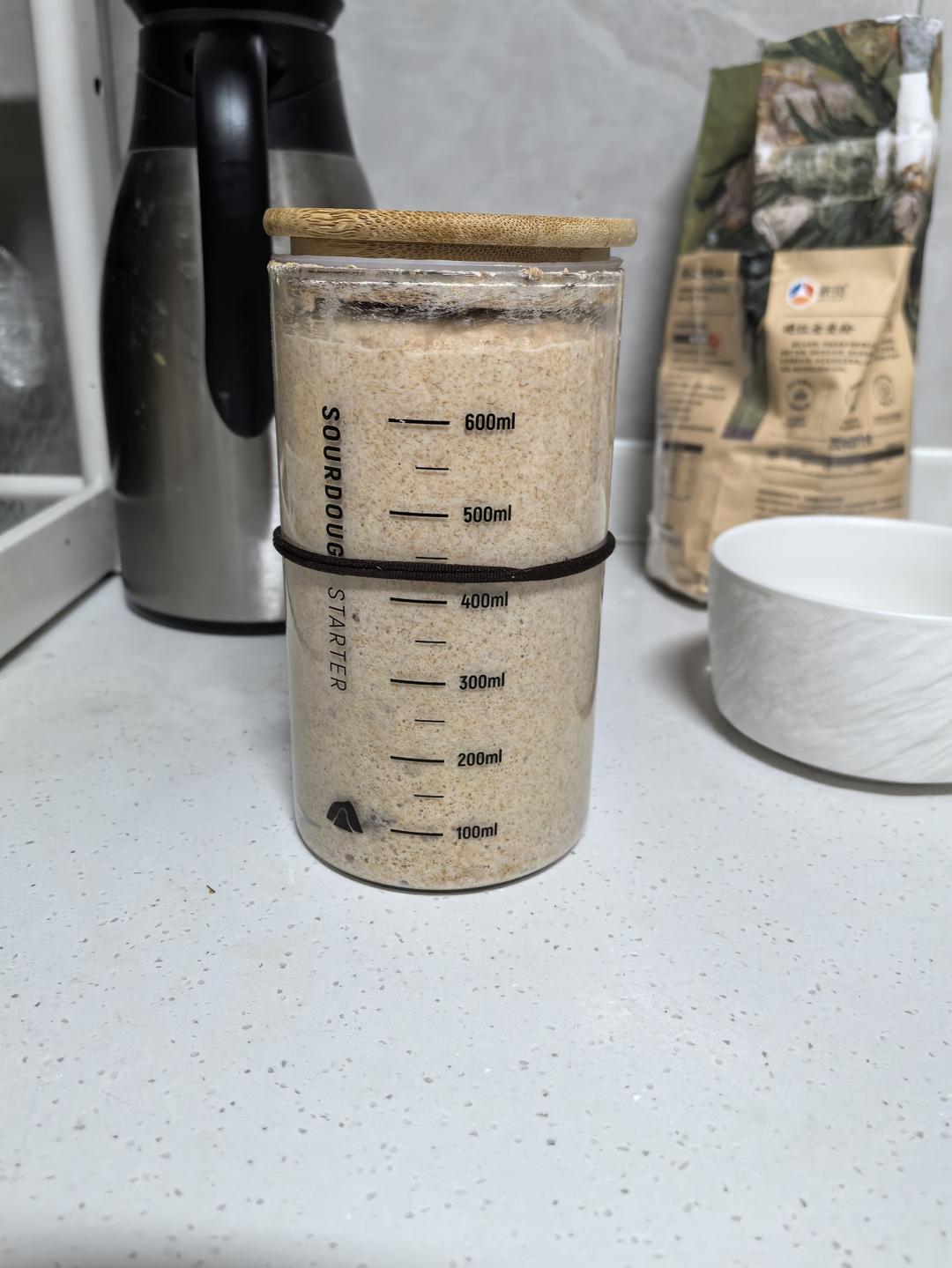 天然酵母鲁邦种培养日记（全麦面粉）成功