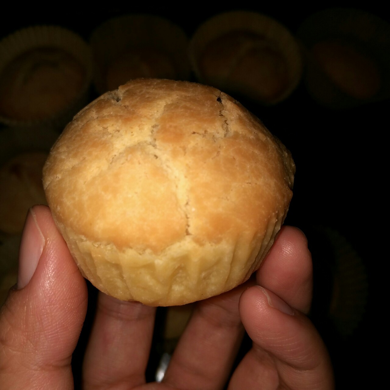 法式蔓越莓乳酪月饼