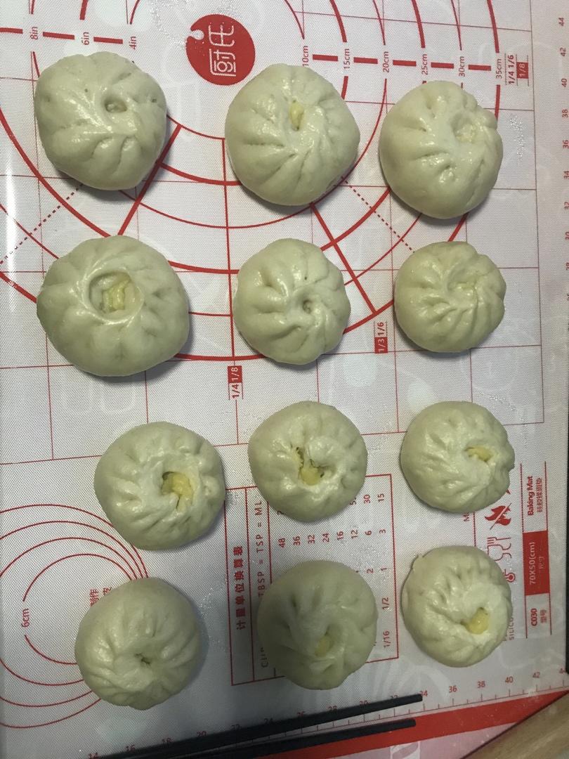 堂妈教你山菜鲜肉大包子