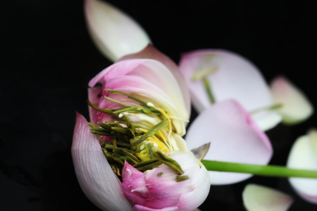 浮生六记…荷花茶