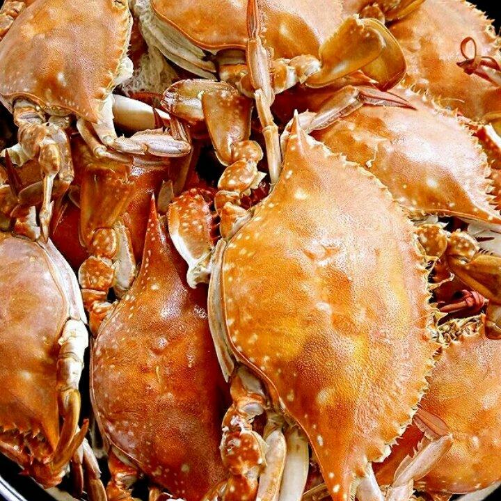 Q版-食尚家族