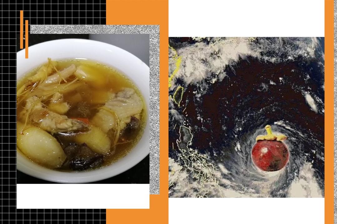 鲜人参炖鸡汤