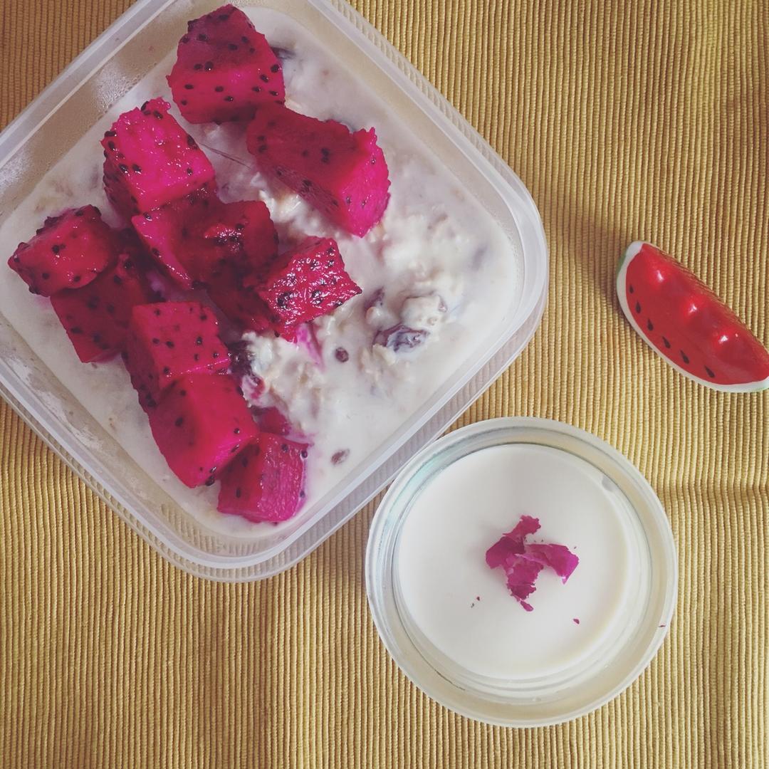 吃豆腐啦！——小嶋老师茉莉奶冻