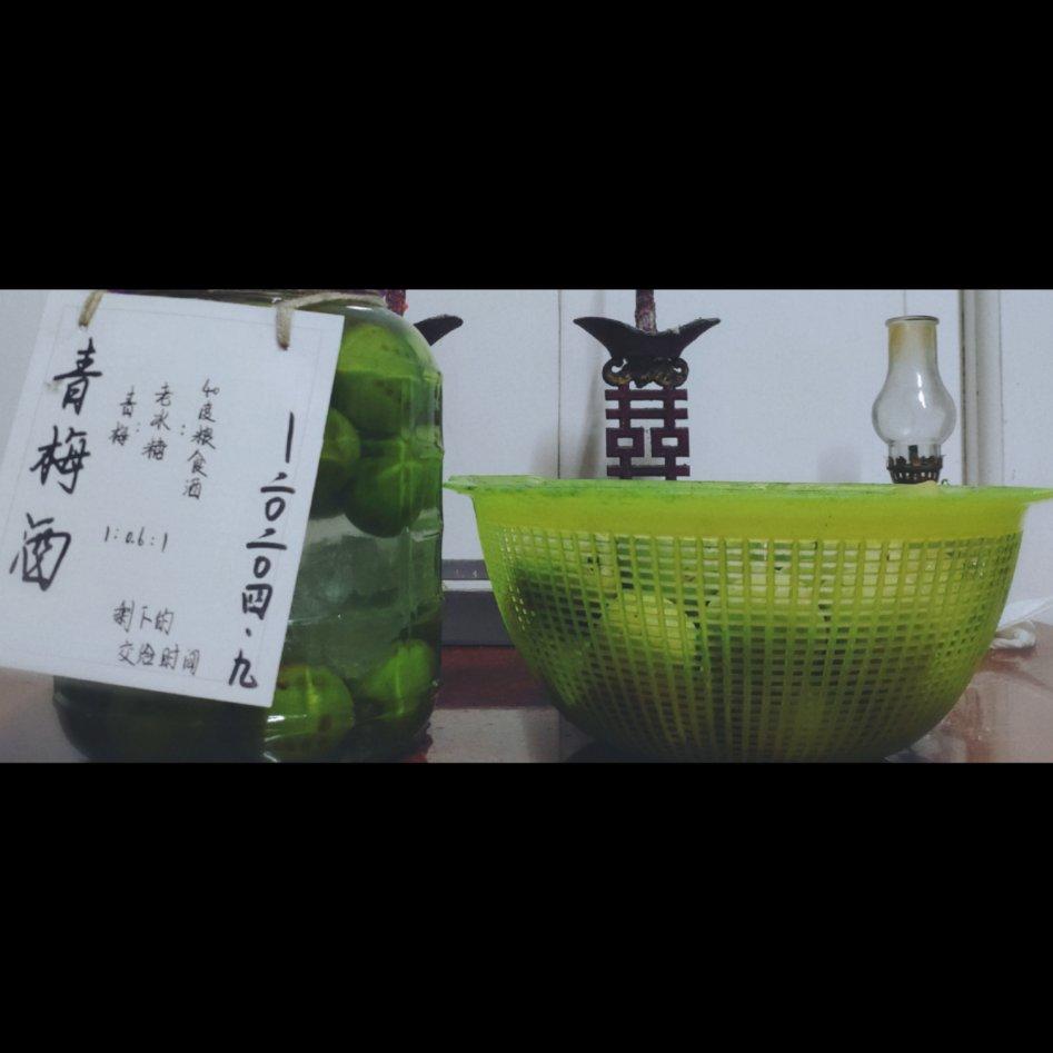 【青梅酒】梅子的沉醉时光（已填坑）