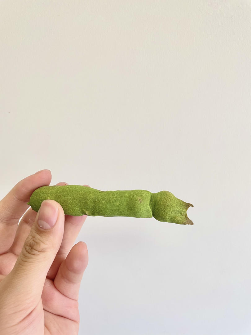 不用预拌粉的手指麻薯包💯成功
