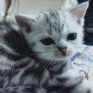 该用户名已存在哟