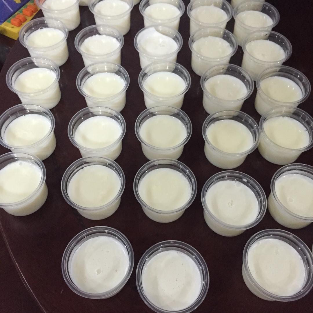 双皮奶《固体饮料》