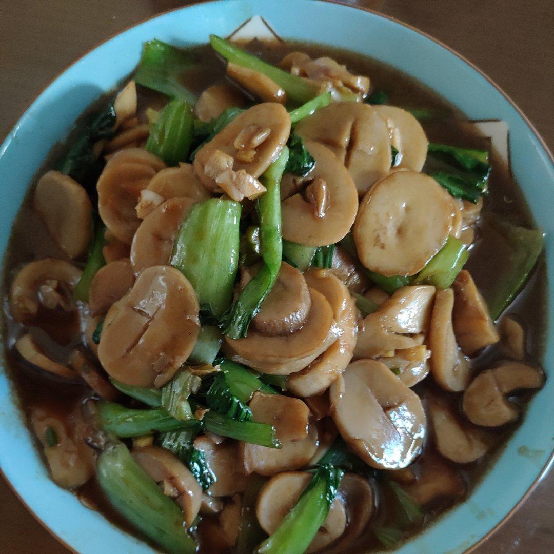 酱汁杏鲍菇❗比肉还好吃