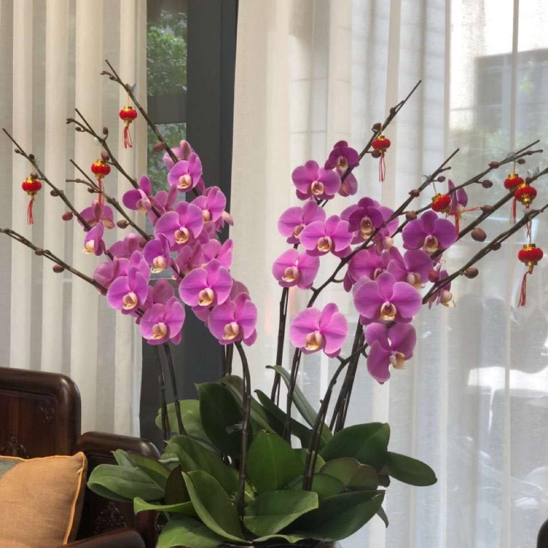 爱美食的小米粒