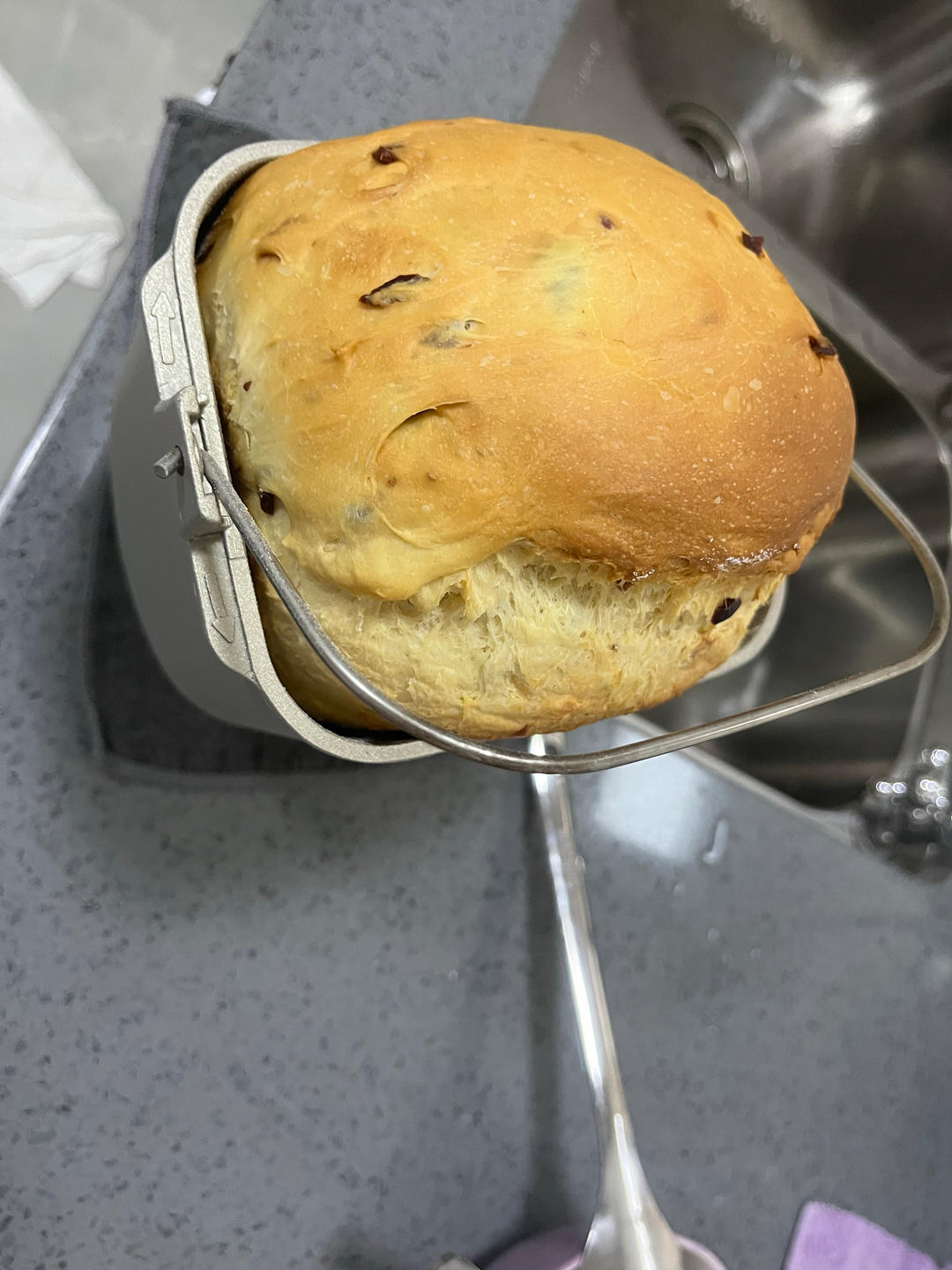 蔓越莓软体面包(松下面包机)一次成功