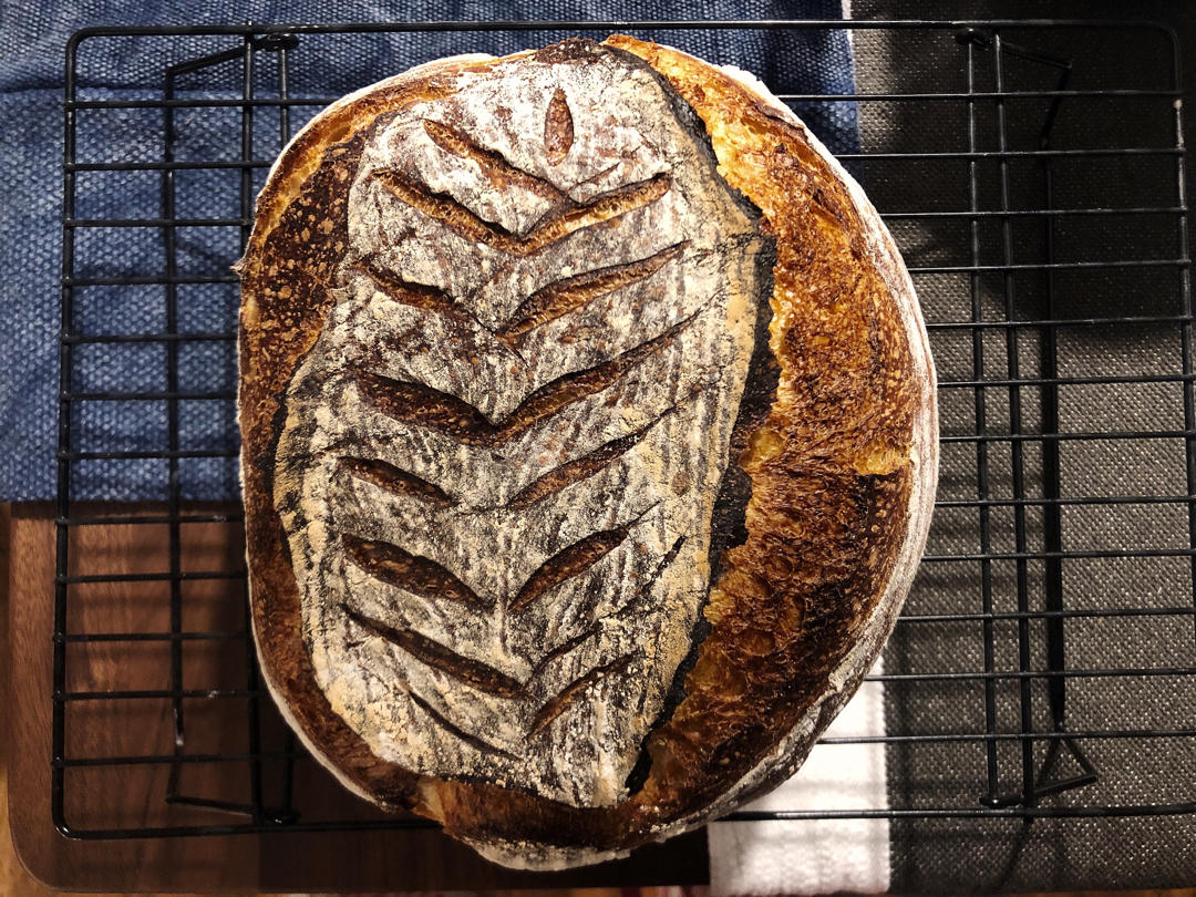 【Tartine Bread】天然酵种基础乡村欧包