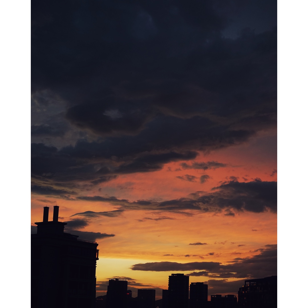 相机吃的菜哦(◍•ᴗ•◍)