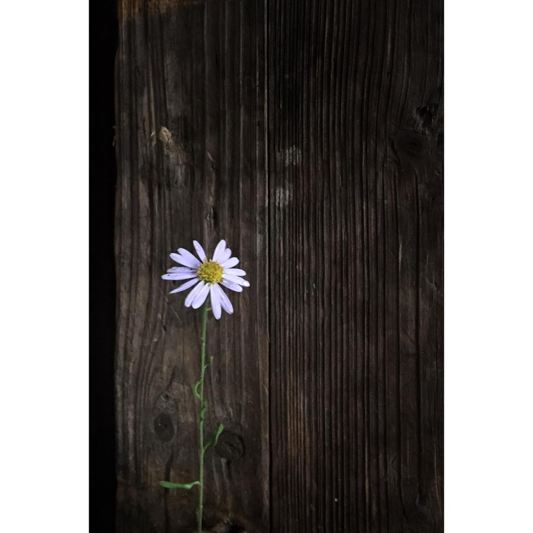 乱杂.合辑.