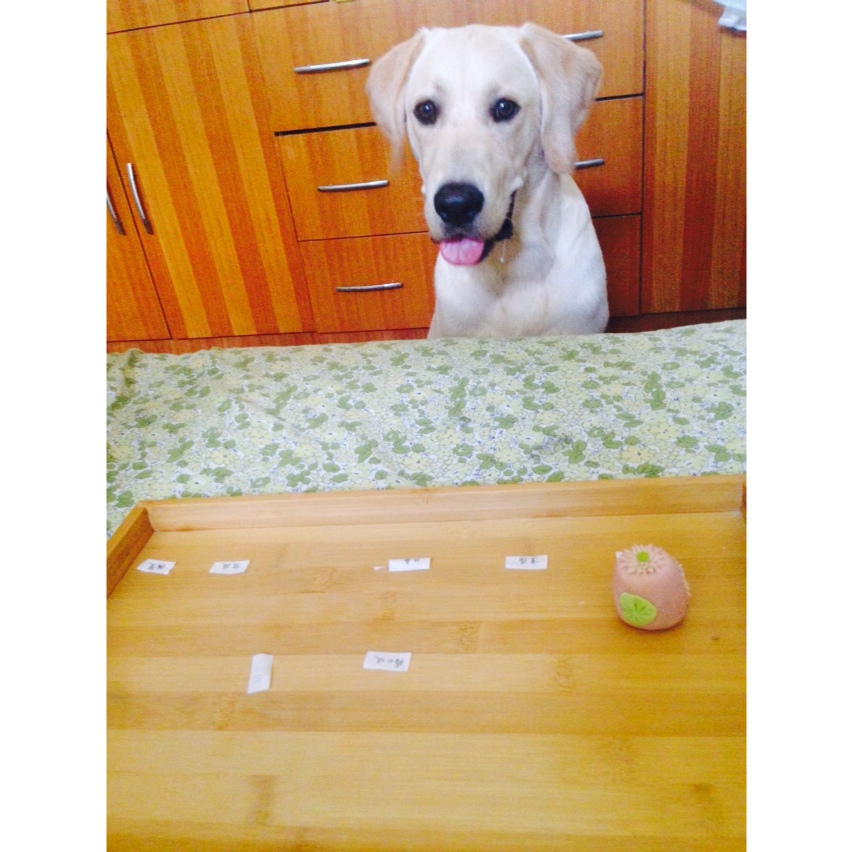 和菓子：练切（超简单）