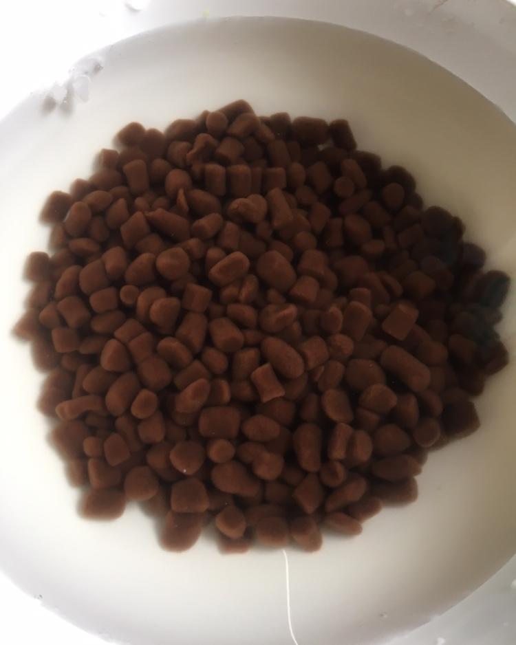 自制Q弹珍珠