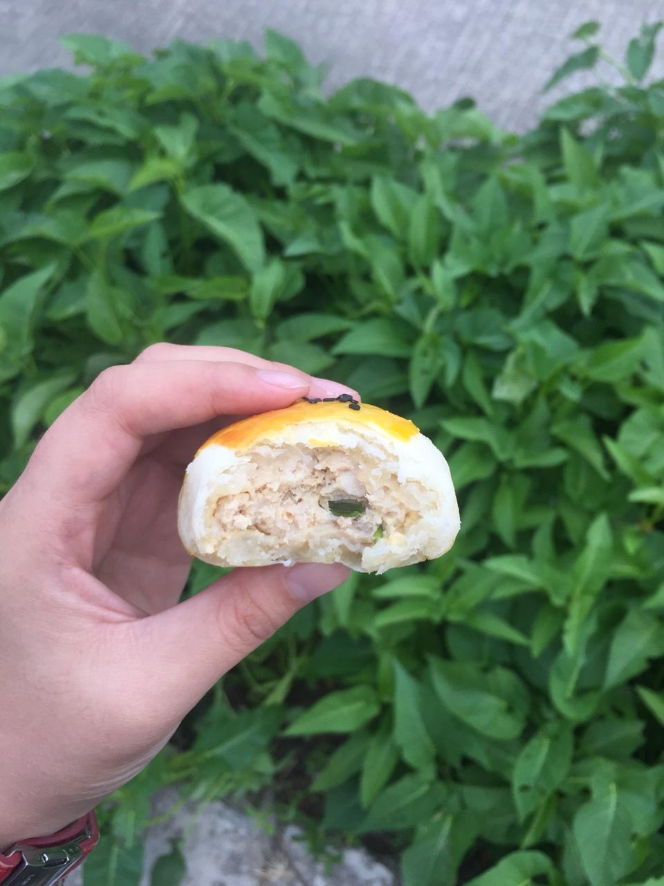 泳式鲜肉榨菜月饼