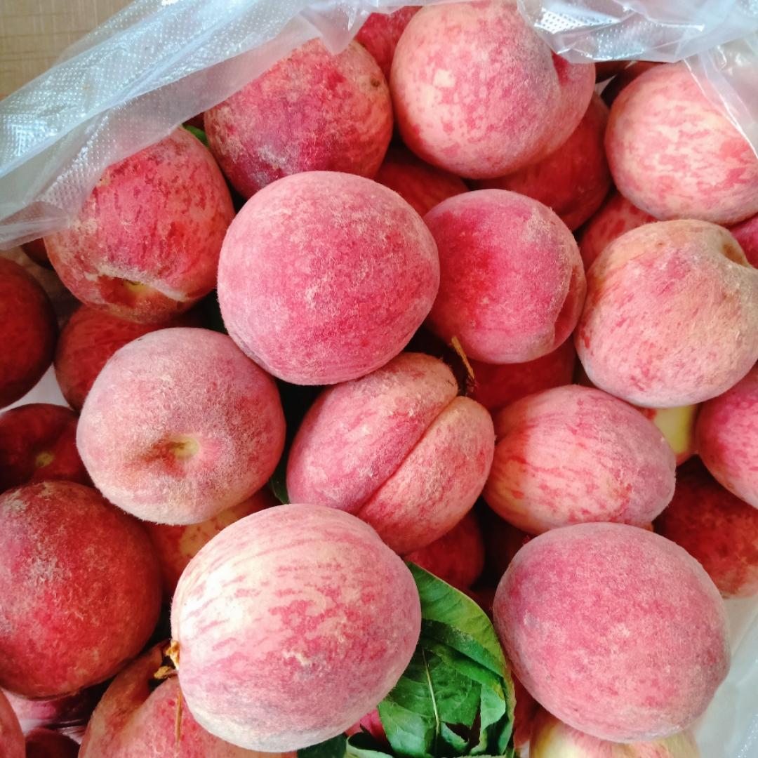 a豆子麻麻