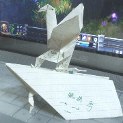 胖腿鸽号太重飞不动