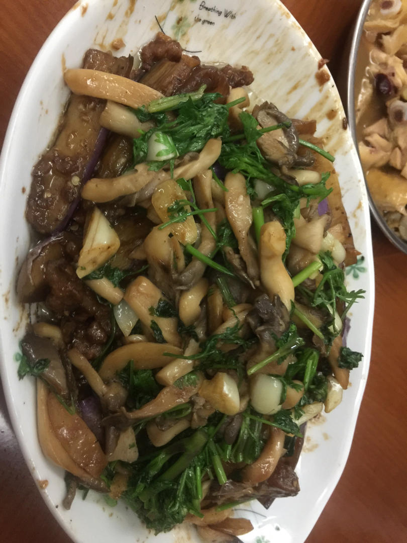 不一样的风情秀珍菇（小平菇），有了孜然加身。