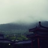 球宝儿
