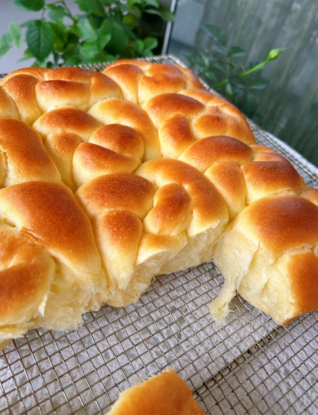 全世界最好吃没有之一的汤种布里欧修老面包