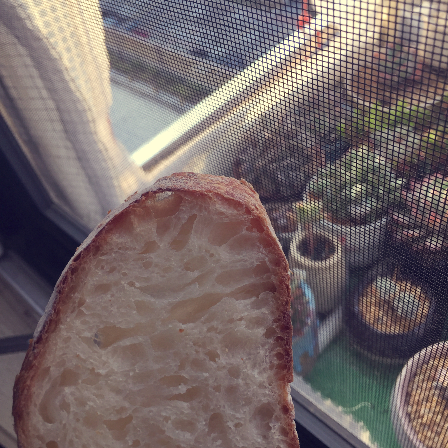 《割口发烧友的面包》—— 与基本配方配比相同的小法包（即发干酵母快手版6）