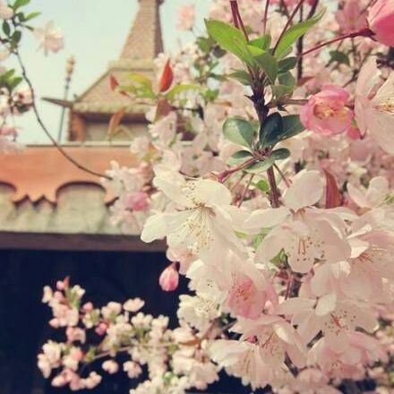 心狠才能漂亮_6igb