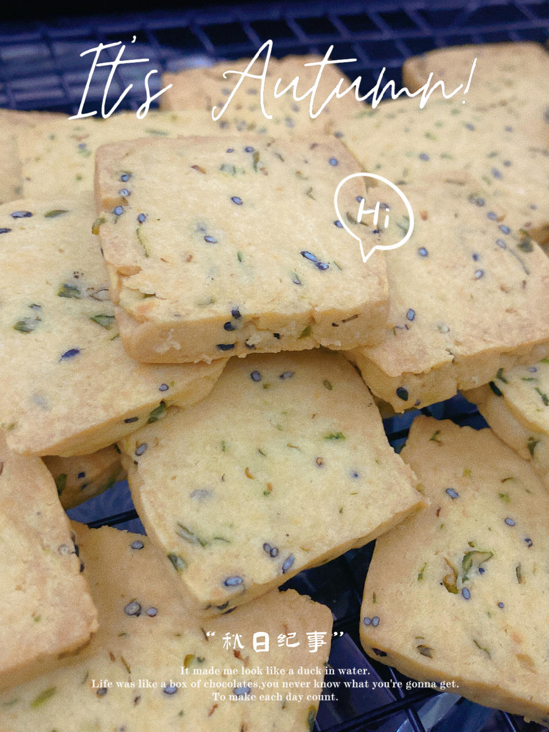 葱香曲奇系列之一 葱香曲奇