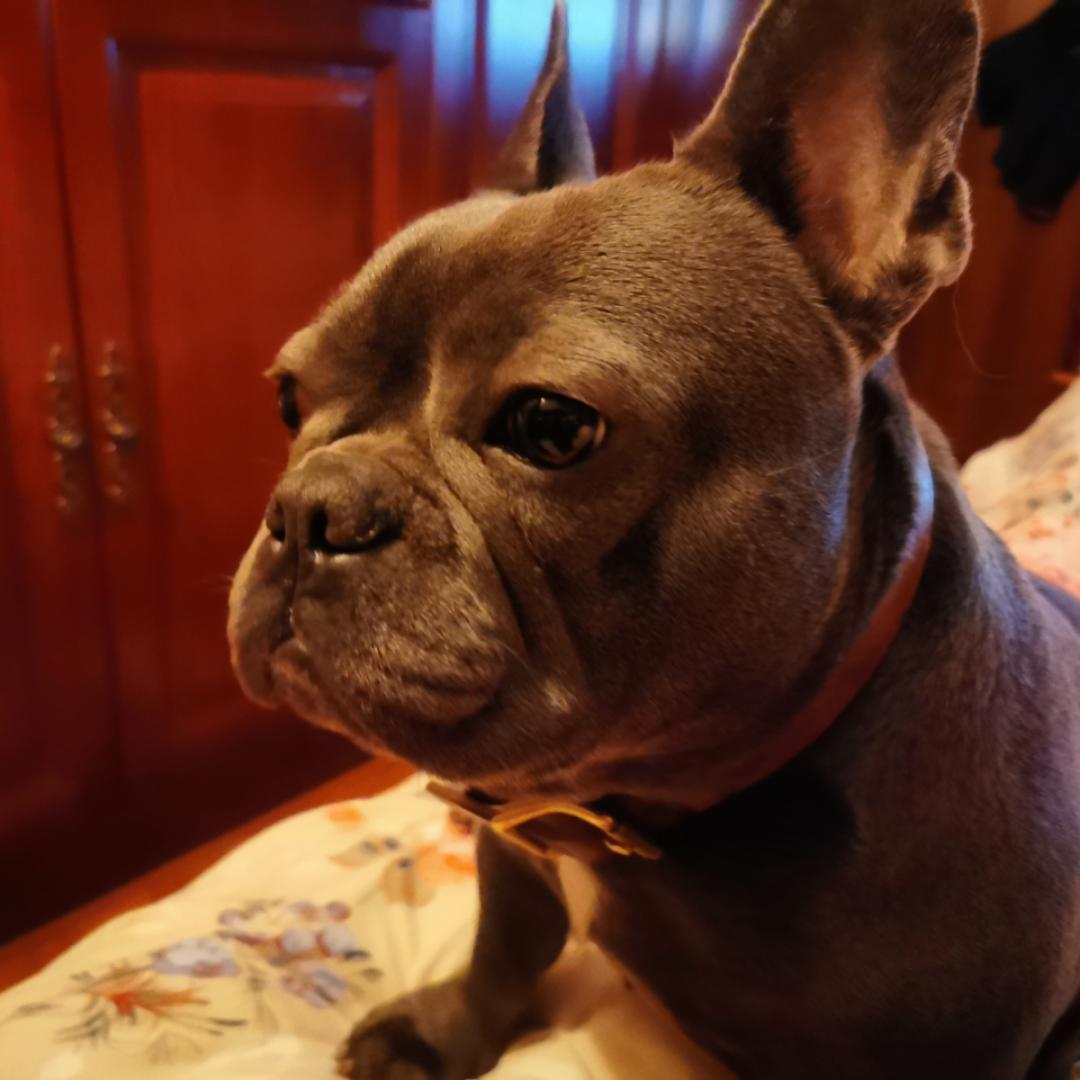 我家有个李小发