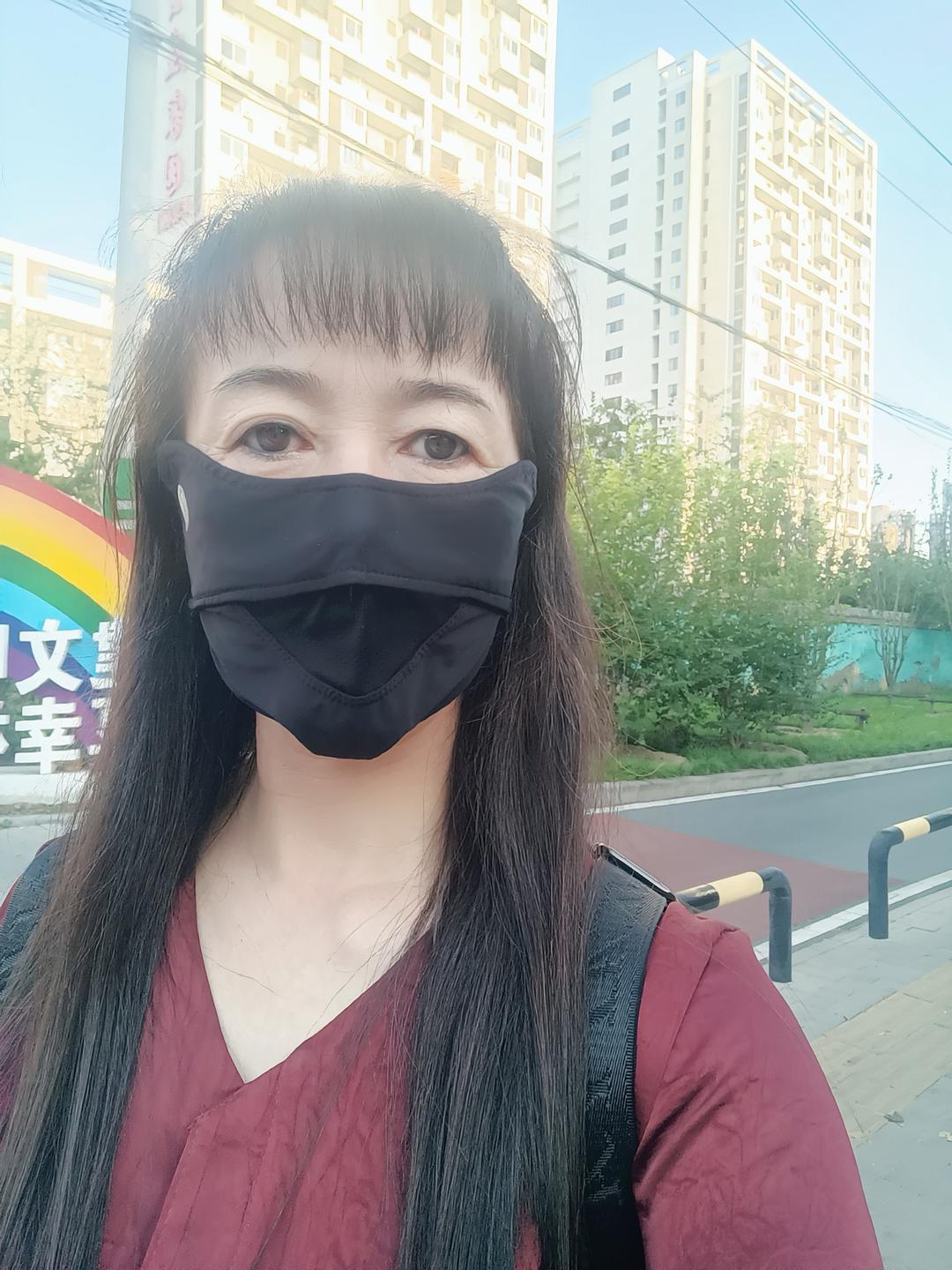 开心的燕子