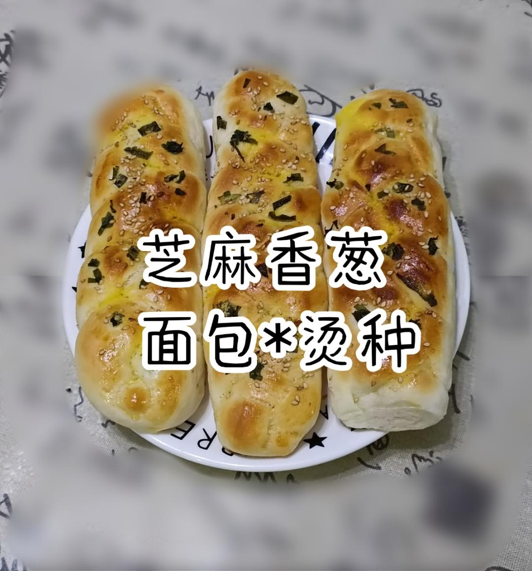 香葱肉松面包（烫种法）