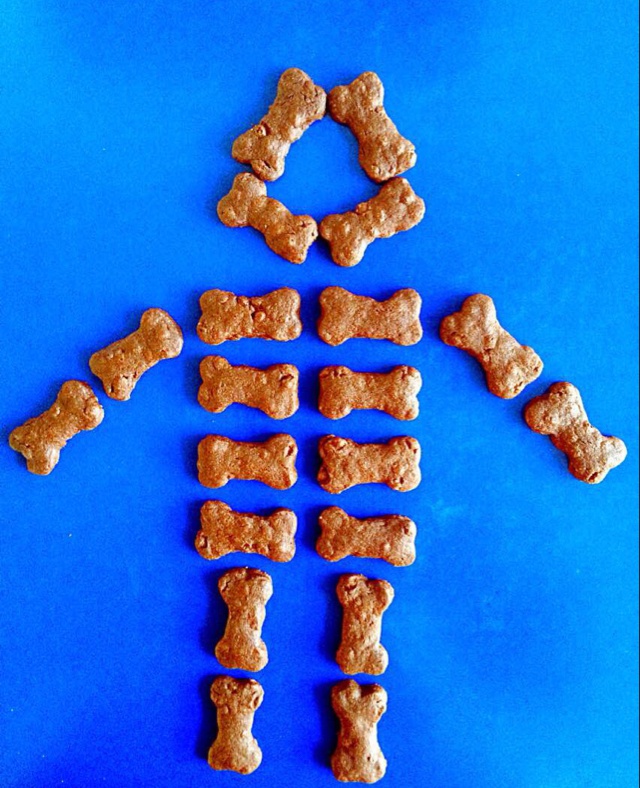 巧克力饼干sablé korova