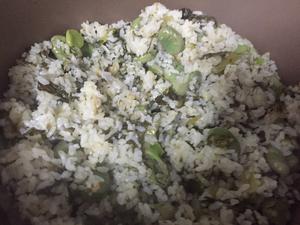 蚕豆莴苣叶菜饭的做法 步骤3