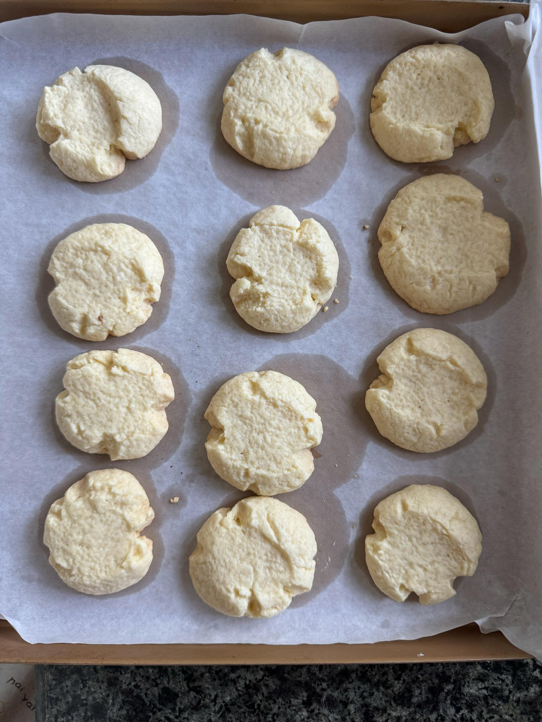 10L小烤箱烤一切---新手友好一口酥玛格丽特曲奇饼干