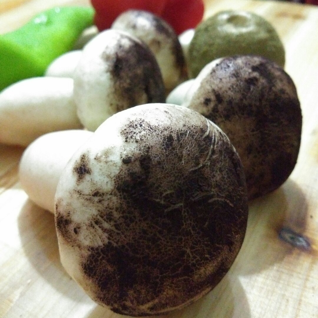 馒头也可以这样逗儿😊，