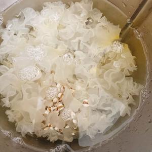 新鲜银耳莲子百合汤的做法 步骤3