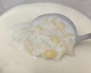 白果薏米仁腐竹花胶糖水的做法 步骤1