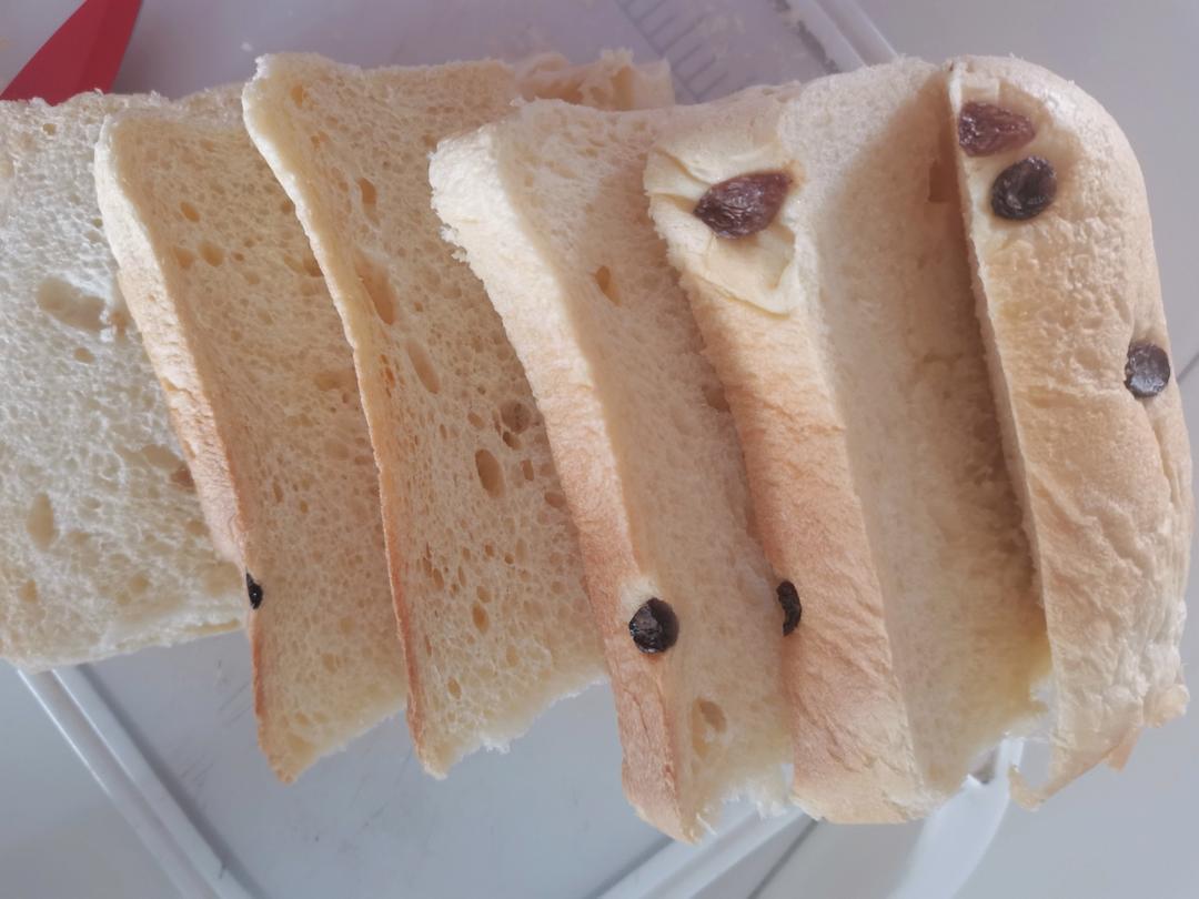 东菱TM018面包机做面包