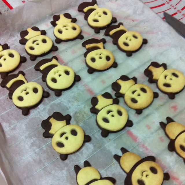 小熊猫饼干