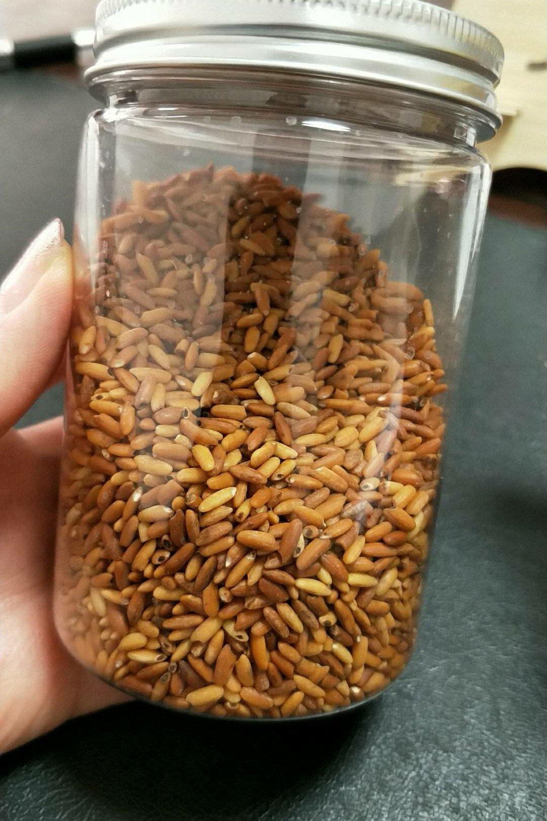 炒米 【治胃病